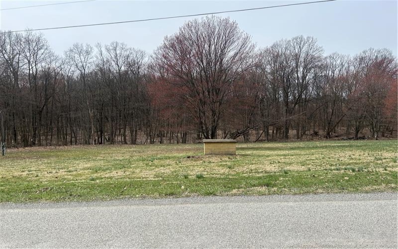 165 Manns RD, Ruffs dale, 15679, ,Farm-acreage-lot,For Sale,Manns RD,1695294