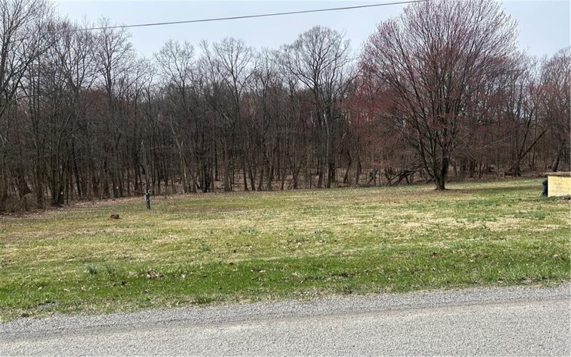 165 Manns RD, Ruffs dale, 15679, ,Farm-acreage-lot,For Sale,Manns RD,1695294