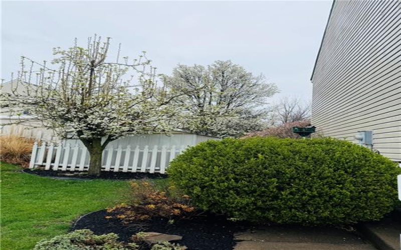 5 Trotwood Cir, Canonsburg, 15317, 3 Bedrooms Bedrooms, 7 Rooms Rooms,1.1 BathroomsBathrooms,Residential,For Sale,Trotwood Cir,1695261