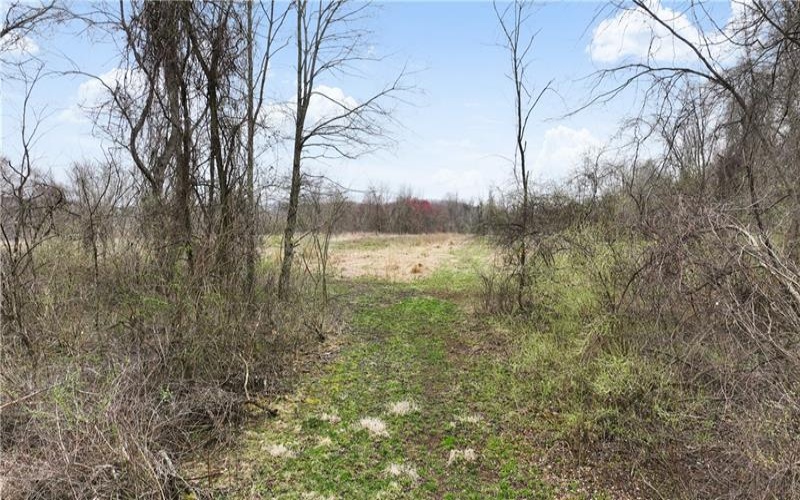 306 Hartley Hill Rd, Adah, 15410, ,Farm-acreage-lot,For Sale,none,Hartley Hill Rd,1696761