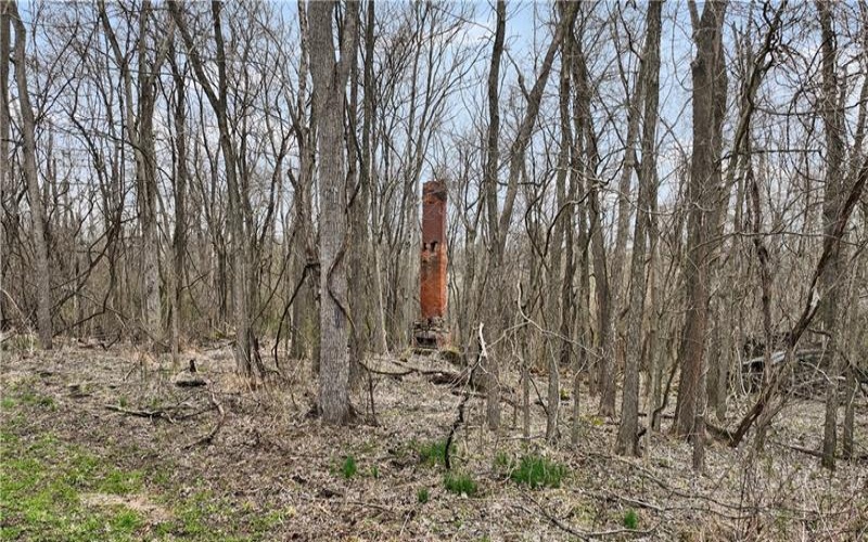 306 Hartley Hill Rd, Adah, 15410, ,Farm-acreage-lot,For Sale,none,Hartley Hill Rd,1696761