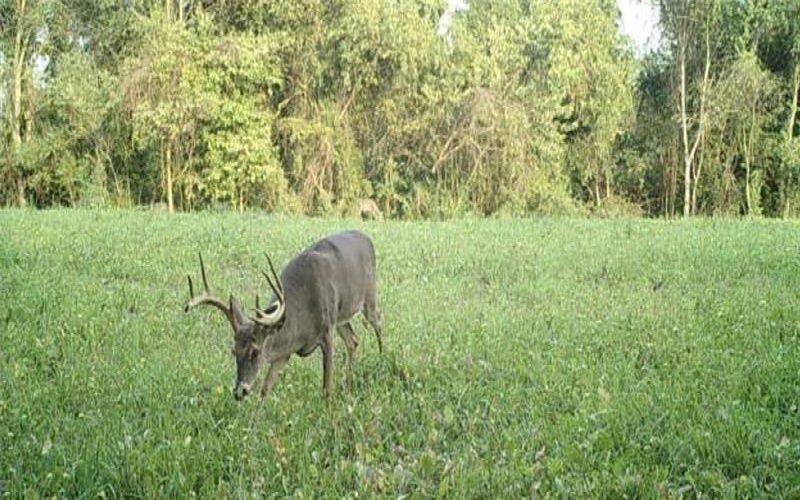 306 Hartley Hill Rd, Adah, 15410, ,Farm-acreage-lot,For Sale,none,Hartley Hill Rd,1696761
