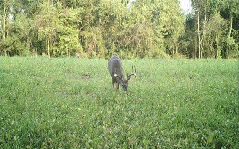 306 Hartley Hill Rd, Adah, 15410, ,Farm-acreage-lot,For Sale,none,Hartley Hill Rd,1696761