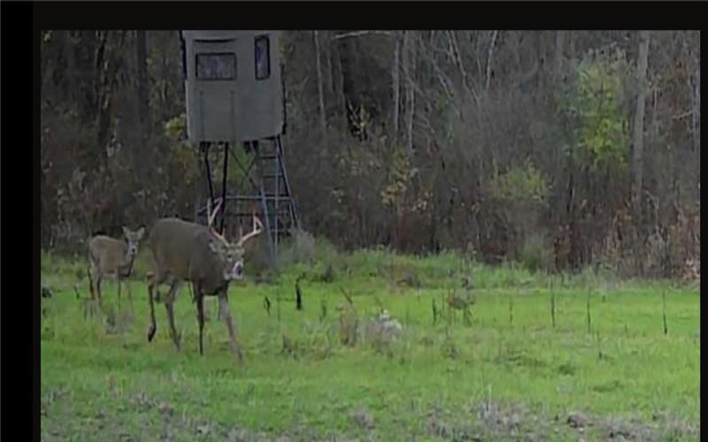 306 Hartley Hill Rd, Adah, 15410, ,Farm-acreage-lot,For Sale,none,Hartley Hill Rd,1696761