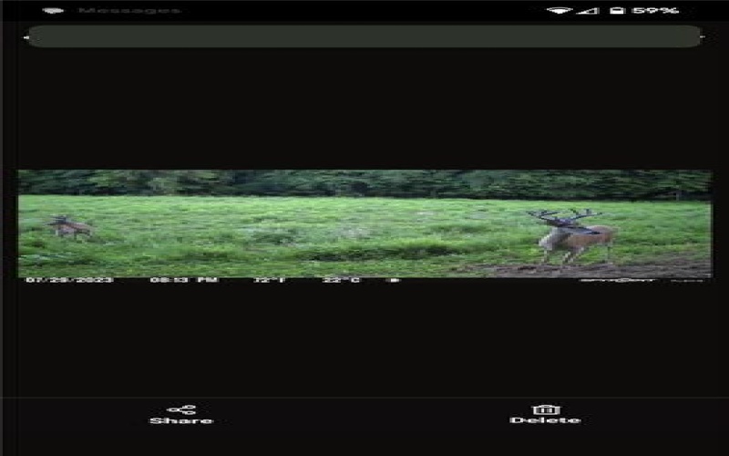 306 Hartley Hill Rd, Adah, 15410, ,Farm-acreage-lot,For Sale,none,Hartley Hill Rd,1696761