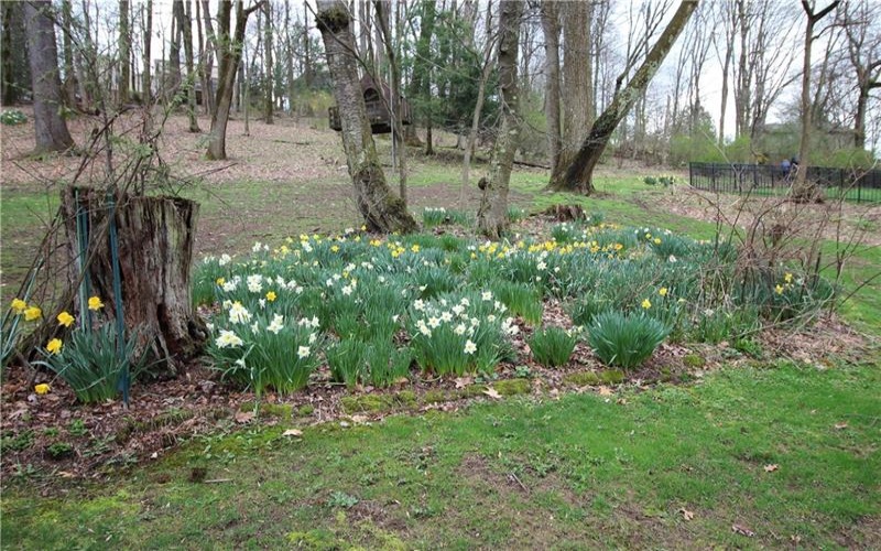 0 McClellan Dr, Greensburg, 15601, ,Farm-acreage-lot,For Sale,McClellan Dr,1696635