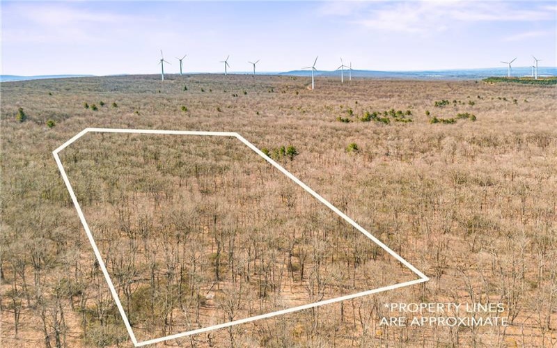 0 Folino, Central City, 15926, ,Farm-acreage-lot,For Sale,Folino,1696893