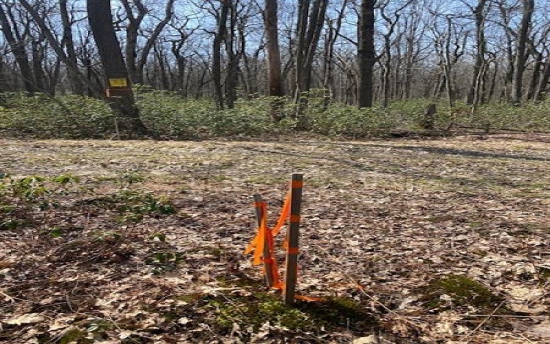 0 Folino, Central City, 15926, ,Farm-acreage-lot,For Sale,Folino,1696893