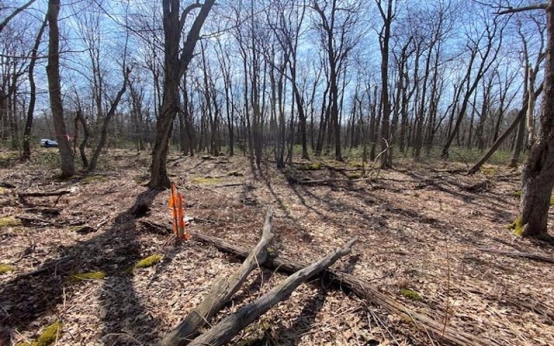 0 Folino, Central City, 15926, ,Farm-acreage-lot,For Sale,Folino,1696893