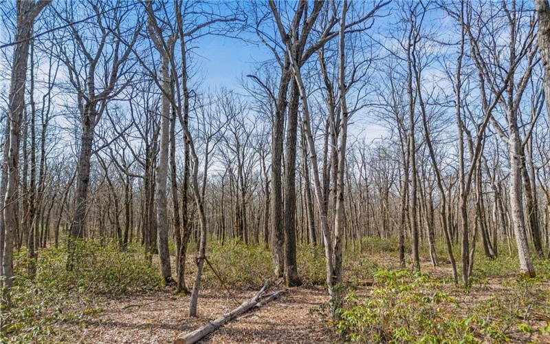 0 Folino, Central City, 15926, ,Farm-acreage-lot,For Sale,Folino,1696893