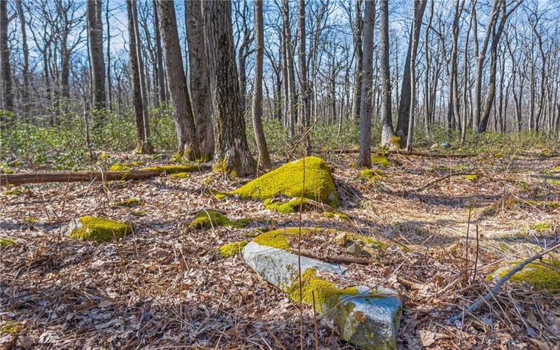0 Folino, Central City, 15926, ,Farm-acreage-lot,For Sale,Folino,1696893