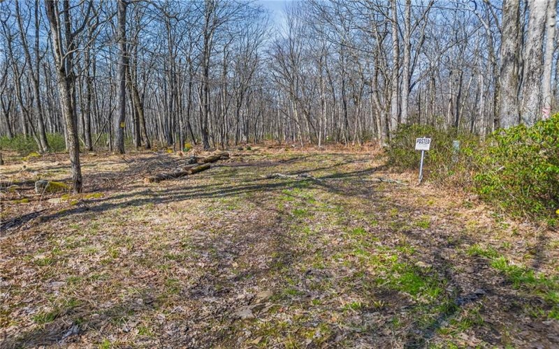 0 Folino, Central City, 15926, ,Farm-acreage-lot,For Sale,Folino,1696893