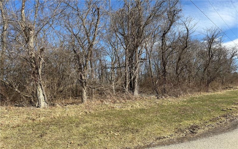 0 2nd Street, Cardale, 15420, ,Farm-acreage-lot,For Sale,2nd Street,1696913