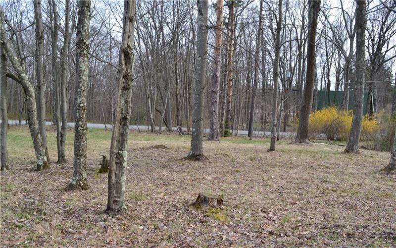 LOT 23 Horseshoe Bend Rd., Acme, 15610, ,Farm-acreage-lot,For Sale,Horseshoe Bend Rd.,1696449