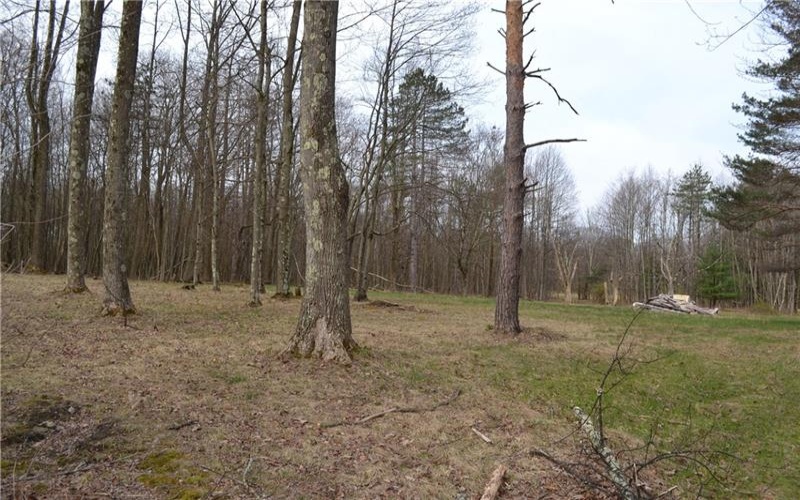 LOT 23 Horseshoe Bend Rd., Acme, 15610, ,Farm-acreage-lot,For Sale,Horseshoe Bend Rd.,1696449