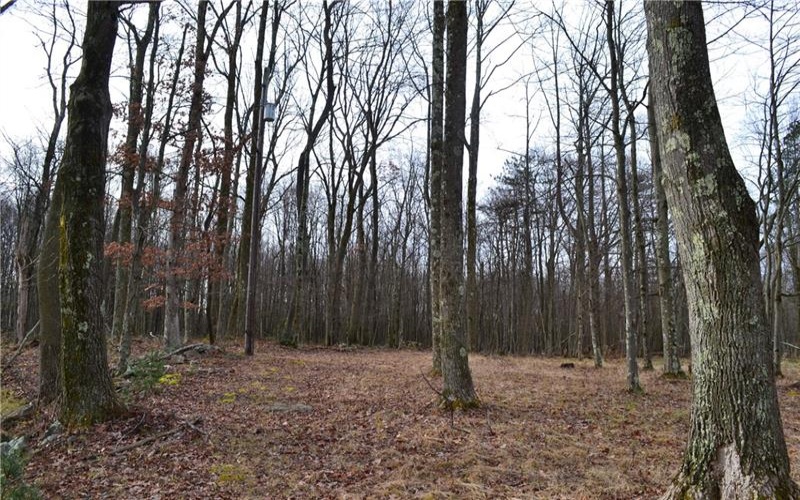 LOT 23 Horseshoe Bend Rd., Acme, 15610, ,Farm-acreage-lot,For Sale,Horseshoe Bend Rd.,1696449