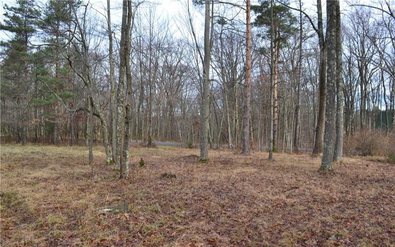 LOT 23 Horseshoe Bend Rd., Acme, 15610, ,Farm-acreage-lot,For Sale,Horseshoe Bend Rd.,1696449