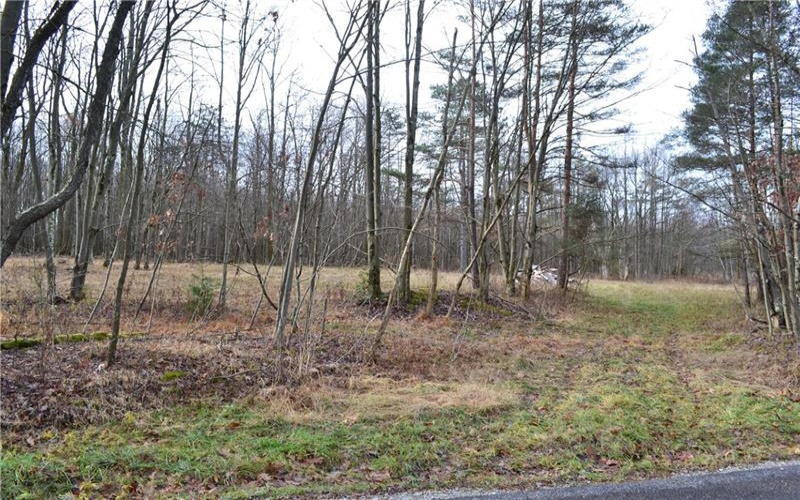 LOT 23 Horseshoe Bend Rd., Acme, 15610, ,Farm-acreage-lot,For Sale,Horseshoe Bend Rd.,1696449
