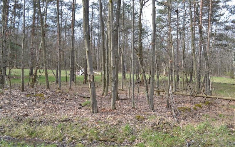 LOT 23 Horseshoe Bend Rd., Acme, 15610, ,Farm-acreage-lot,For Sale,Horseshoe Bend Rd.,1696449