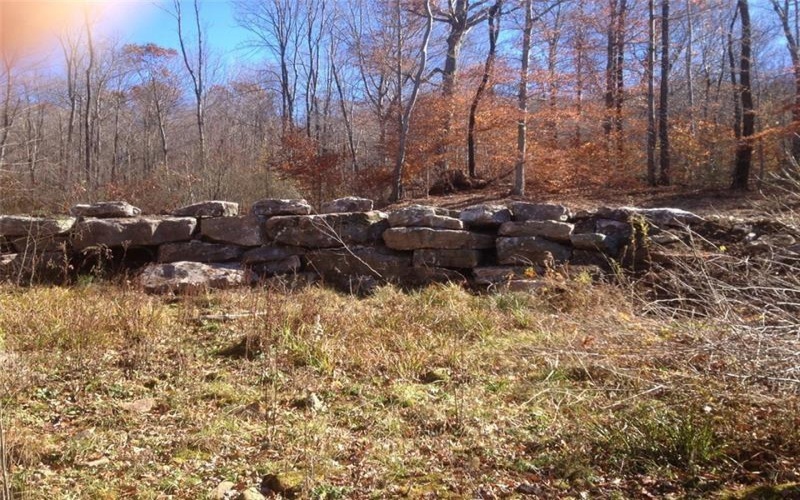 Lot 4 Bluffs Trail, Donegal, 15628, ,Farm-acreage-lot,For Sale,Bluffs Trail,1697822