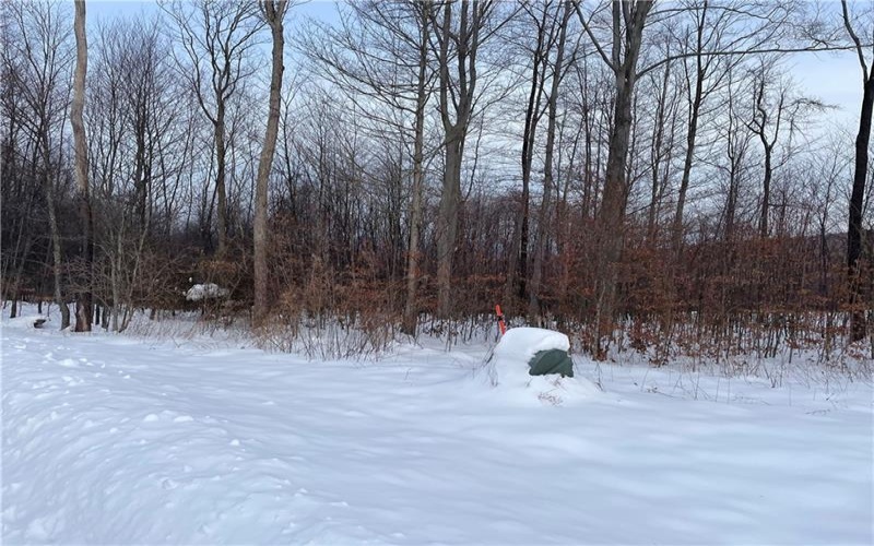 Lot 4 Bluffs Trail, Donegal, 15628, ,Farm-acreage-lot,For Sale,Bluffs Trail,1697822