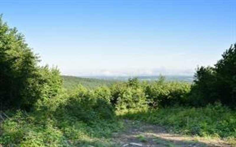 Lot 4 Bluffs Trail, Donegal, 15628, ,Farm-acreage-lot,For Sale,Bluffs Trail,1697822