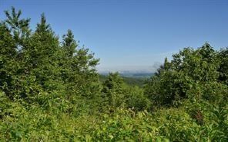 Lot 4 Bluffs Trail, Donegal, 15628, ,Farm-acreage-lot,For Sale,Bluffs Trail,1697822