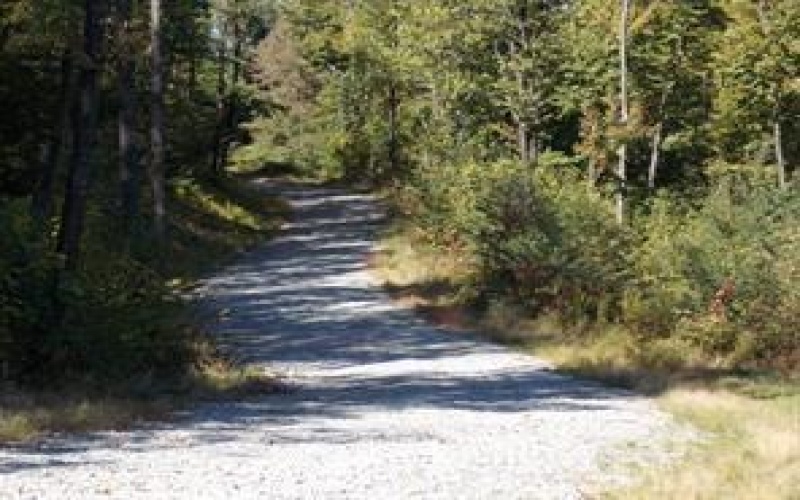 Lot 4 Bluffs Trail, Donegal, 15628, ,Farm-acreage-lot,For Sale,Bluffs Trail,1697822