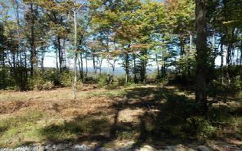 Lot 4 Bluffs Trail, Donegal, 15628, ,Farm-acreage-lot,For Sale,Bluffs Trail,1697822