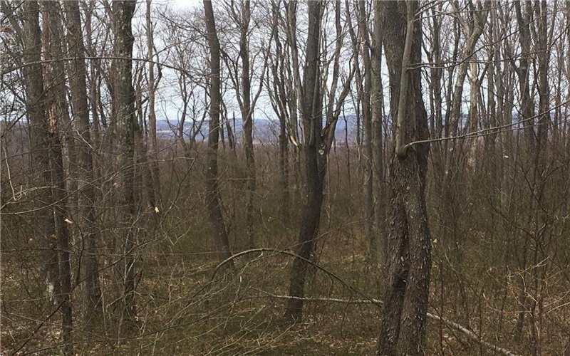 Lot 4 Bluffs Trail, Donegal, 15628, ,Farm-acreage-lot,For Sale,Bluffs Trail,1697822