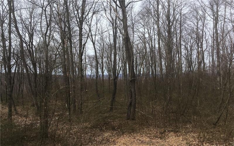 Lot 4 Bluffs Trail, Donegal, 15628, ,Farm-acreage-lot,For Sale,Bluffs Trail,1697822