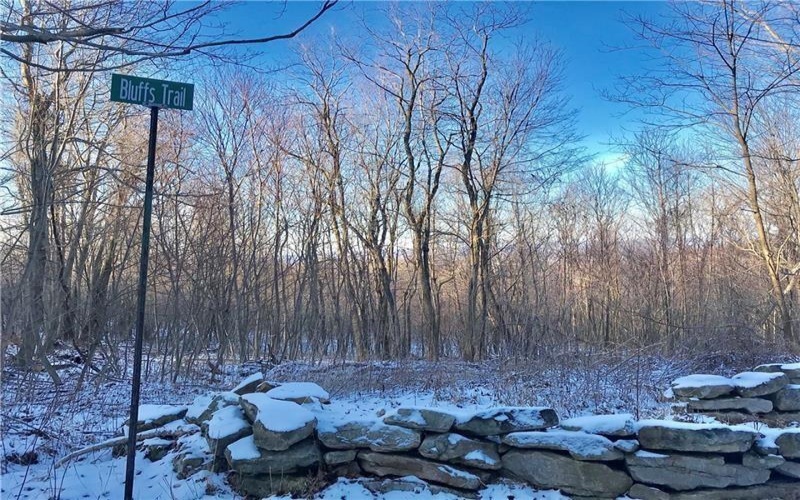 Lot 4 Bluffs Trail, Donegal, 15628, ,Farm-acreage-lot,For Sale,Bluffs Trail,1697822