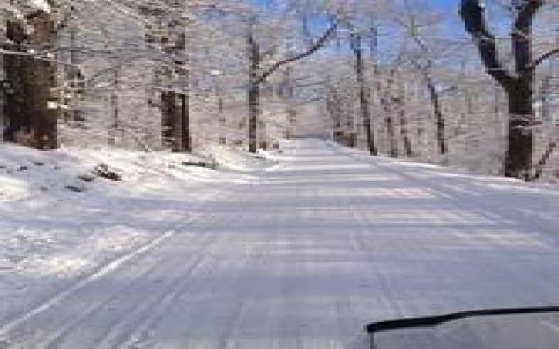 Lot 4 Bluffs Trail, Donegal, 15628, ,Farm-acreage-lot,For Sale,Bluffs Trail,1697822