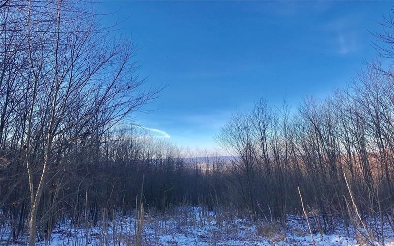 Lot 4 Bluffs Trail, Donegal, 15628, ,Farm-acreage-lot,For Sale,Bluffs Trail,1697822