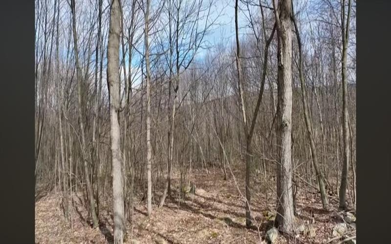 Lot 7 Bluffs Trail, Donegal, 15628, ,Farm-acreage-lot,For Sale,Bluffs Trail,1697926