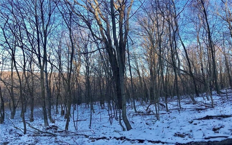 Lot 7 Bluffs Trail, Donegal, 15628, ,Farm-acreage-lot,For Sale,Bluffs Trail,1697926