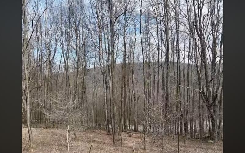 Lot 7 Bluffs Trail, Donegal, 15628, ,Farm-acreage-lot,For Sale,Bluffs Trail,1697926
