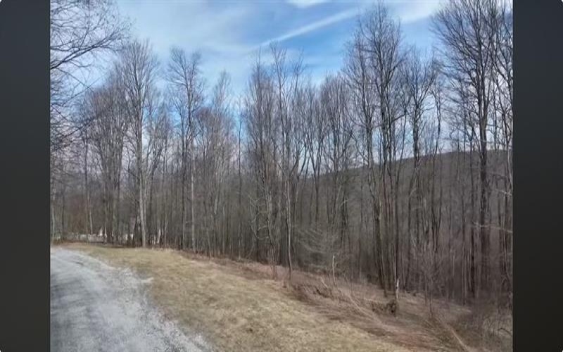 Lot 7 Bluffs Trail, Donegal, 15628, ,Farm-acreage-lot,For Sale,Bluffs Trail,1697926