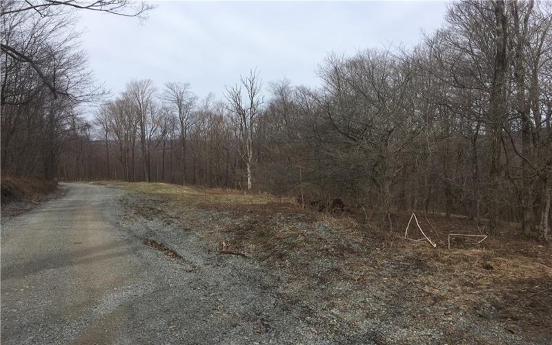 Lot 7 Bluffs Trail, Donegal, 15628, ,Farm-acreage-lot,For Sale,Bluffs Trail,1697926