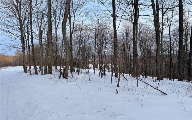Lot 7 Bluffs Trail, Donegal, 15628, ,Farm-acreage-lot,For Sale,Bluffs Trail,1697926