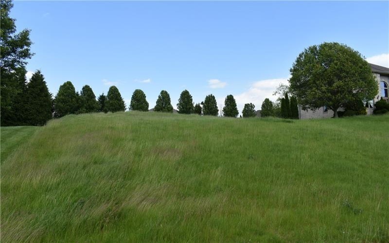 Lot 311 Doubletree Drive, Venetia, 15317, ,Farm-acreage-lot,For Sale,Doubletree Drive,1698103