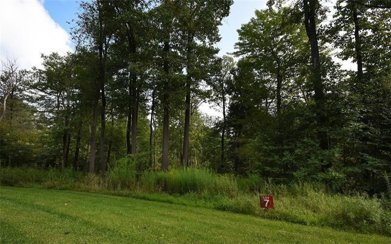 Lot # 7 Ptarmigan Way, Champion, 15622, ,Farm-acreage-lot,For Sale,Ptarmigan Way,1698538