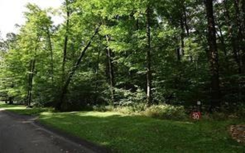 Lot # 30 Grouse Point, Champion, 15622, ,Farm-acreage-lot,For Sale,Grouse Point,1698539