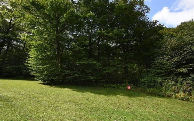 Lot # 31 Grouse Point, Champion, 15622, ,Farm-acreage-lot,For Sale,Grouse Point,1698540