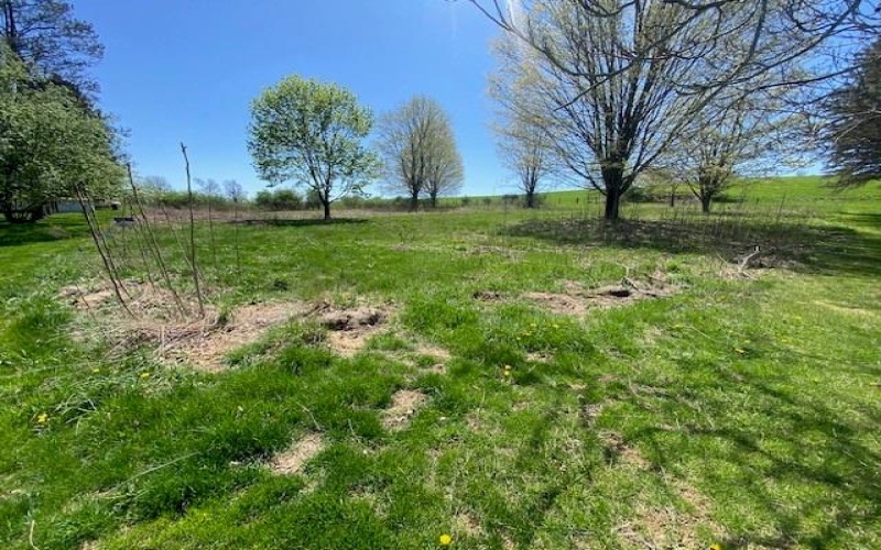 1755 Center, Somerset, 15501, ,Farm-acreage-lot,For Sale,Center,1698605