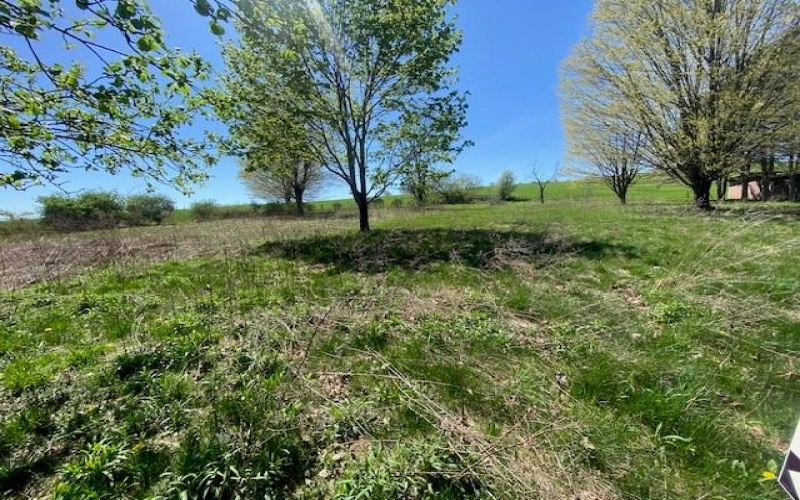 1755 Center, Somerset, 15501, ,Farm-acreage-lot,For Sale,Center,1698605