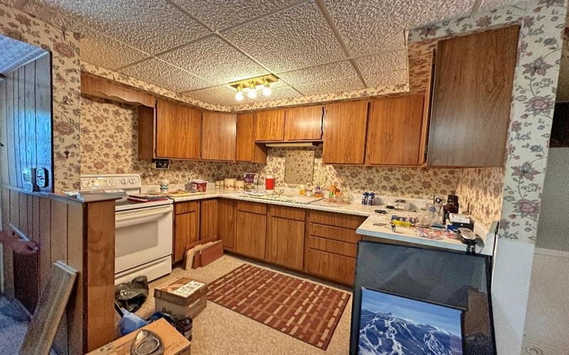 81 & 85 Highland Ave, Avella, 15312, ,Multi-unit,For Sale,Highland Ave,1672817