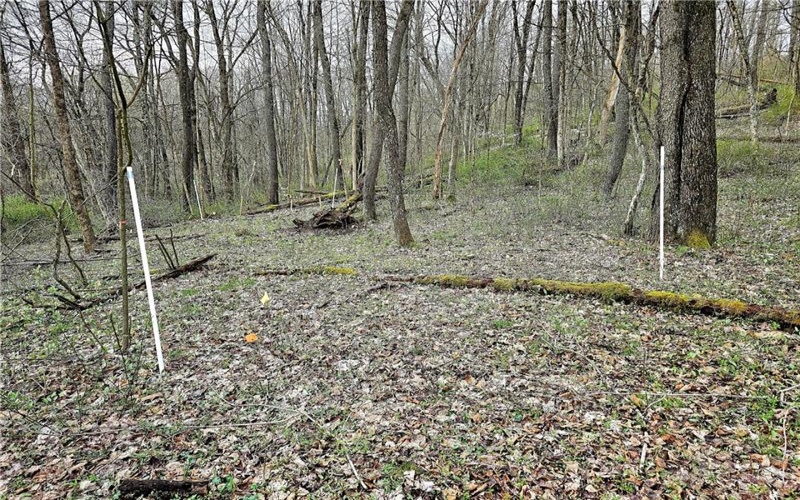 100 Jersey Hollow Rd, Confluence, 15424, ,Farm-acreage-lot,For Sale,None,Jersey Hollow Rd,1698680