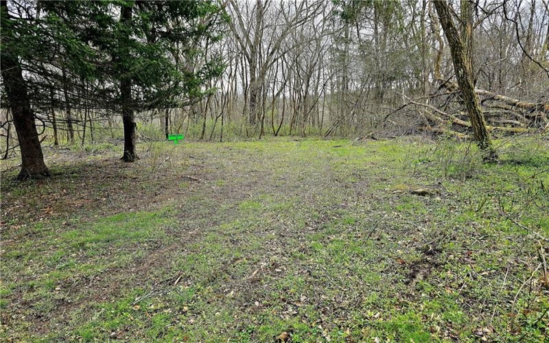 100 Jersey Hollow Rd, Confluence, 15424, ,Farm-acreage-lot,For Sale,None,Jersey Hollow Rd,1698680