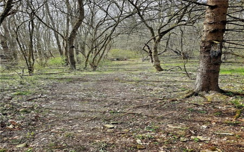 100 Jersey Hollow Rd, Confluence, 15424, ,Farm-acreage-lot,For Sale,None,Jersey Hollow Rd,1698680